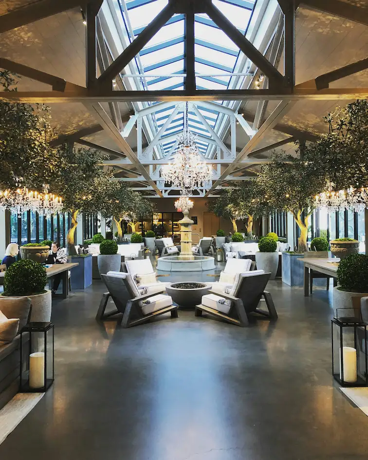 Hotel lobby with plants